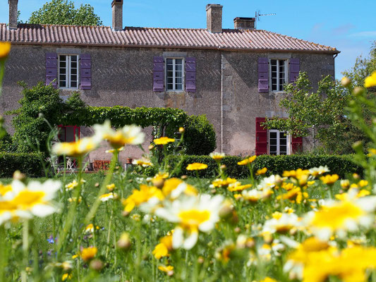 les plaisirs des cheires Jolly Chateau