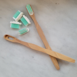 Brosse à dents en hêtre fabriquée en France en bois labellisé, pils nylon souples sans colle chimique et compostable