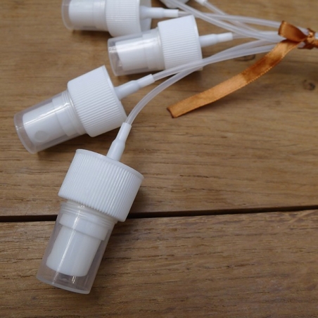 Embout spray  réutilisable pour flacon vaporisateur